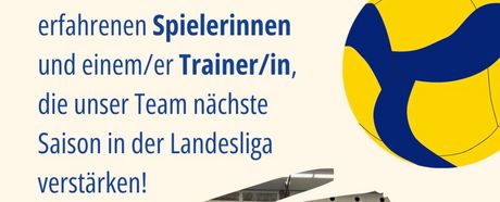 Unsere TSB Volleyball Damen suchen Verstärkung